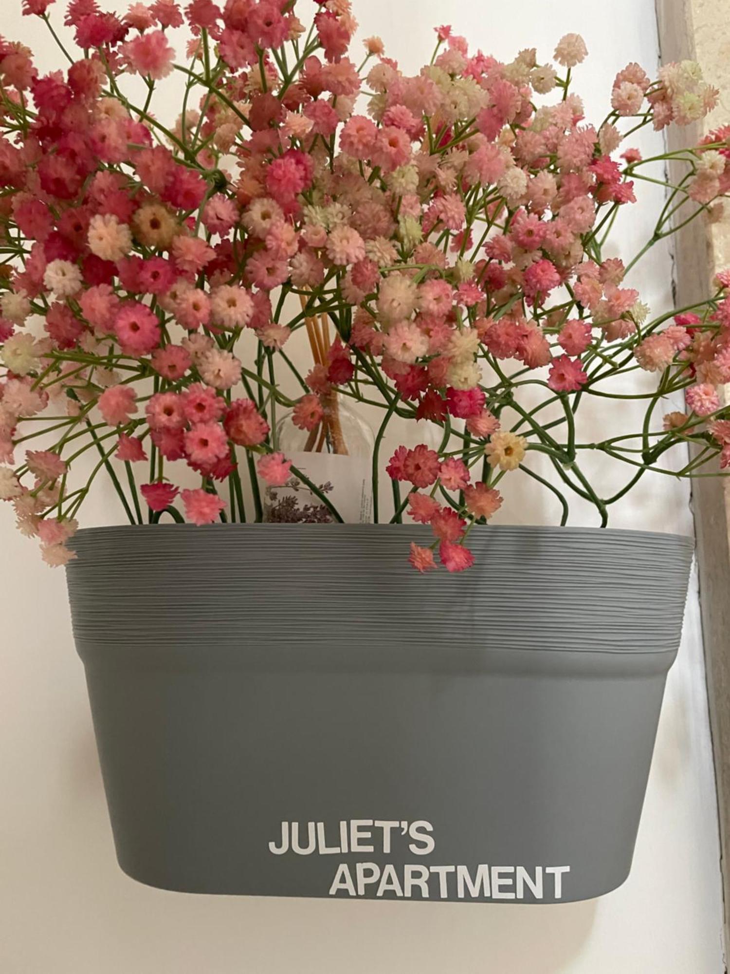 Juliet'S Apartment 维罗纳 外观 照片